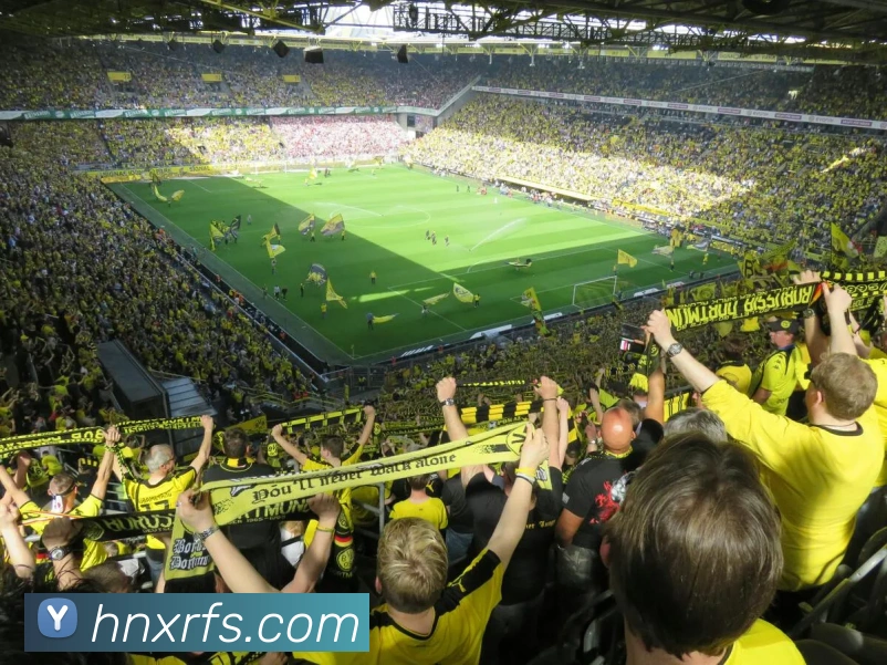 互动解说服务