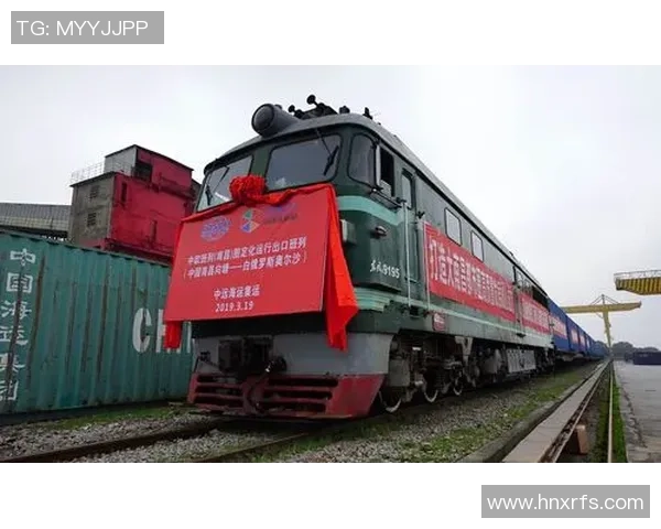 挪威20与洪都20的全面对比分析与市场前景探讨